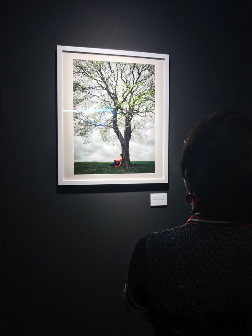 1554817286256124.jpg 0000000.jpg